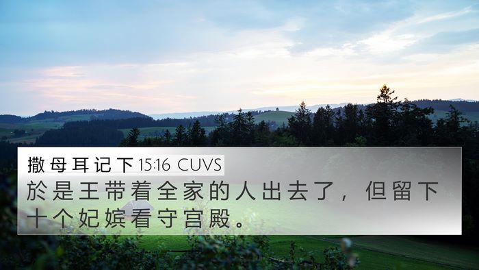 撒 母 耳 记 下 15:16 CUVS Bible Verse Image