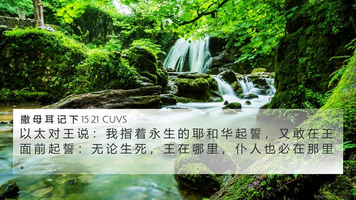 撒 母 耳 记 下 15:21 CUVS Bible Verse Image