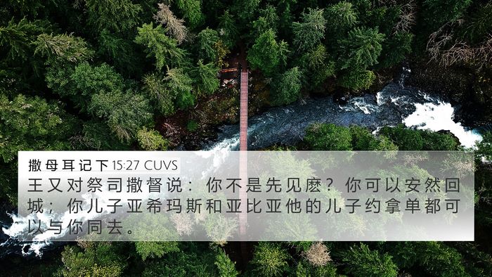 撒 母 耳 记 下 15:27 CUVS Bible Verse Image