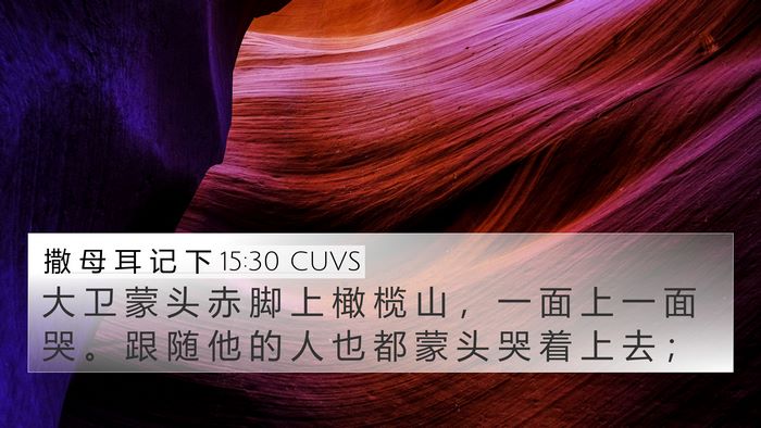 撒 母 耳 记 下 15:30 CUVS Bible Verse Image