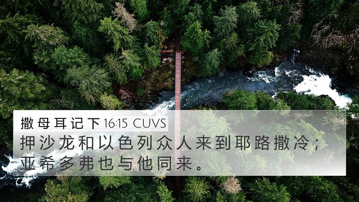 撒 母 耳 记 下 16:15 CUVS Bible Verse Image