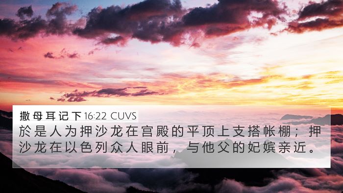 撒 母 耳 记 下 16:22 CUVS Bible Verse Image