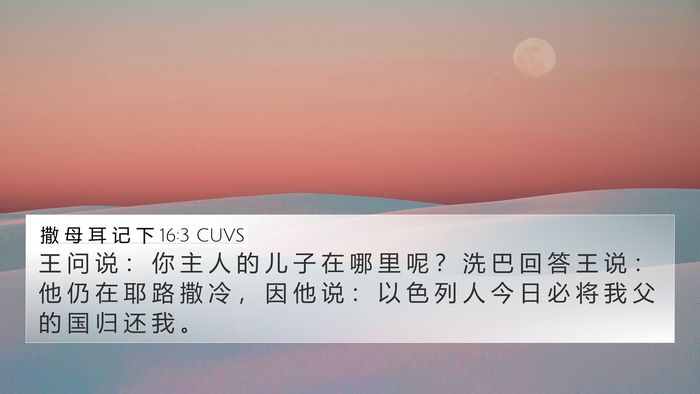 撒 母 耳 记 下 16:3 CUVS 4K Wallpaper - 王 问 说 ： 你 主 人 的 儿 子 在 哪 - 4K Wallpaper Bible Verse