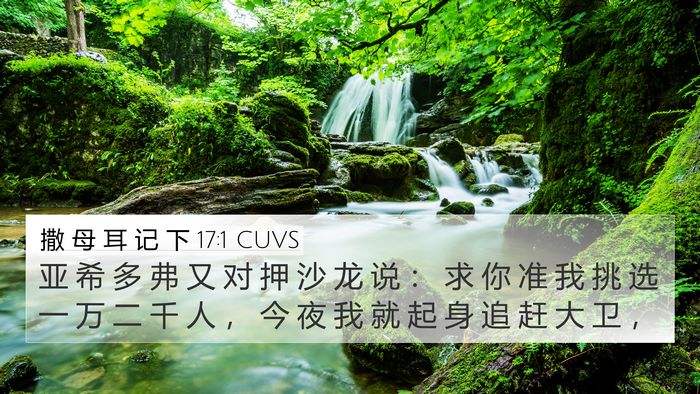 撒 母 耳 记 下 17:1 CUVS Bible Verse Image
