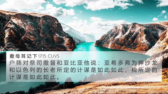 撒 母 耳 记 下 17:15 CUVS 4K Wallpaper - 户 筛 对 祭 司 撒 督 和 亚 比 亚 他 - 4K Wallpaper Bible Verse