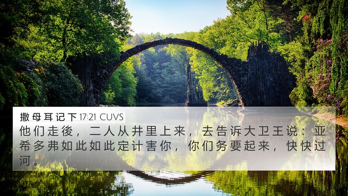 撒 母 耳 记 下 17:21 CUVS Bible Verse Image