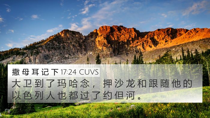 撒 母 耳 记 下 17:24 CUVS Bible Verse Image