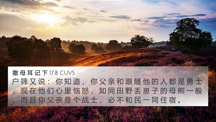 撒 母 耳 记 下 17:8 CUVS 4K Wallpaper - 户 筛 又 说 ： 你 知 道 ， 你 父 亲 - 4K Wallpaper Bible Verse