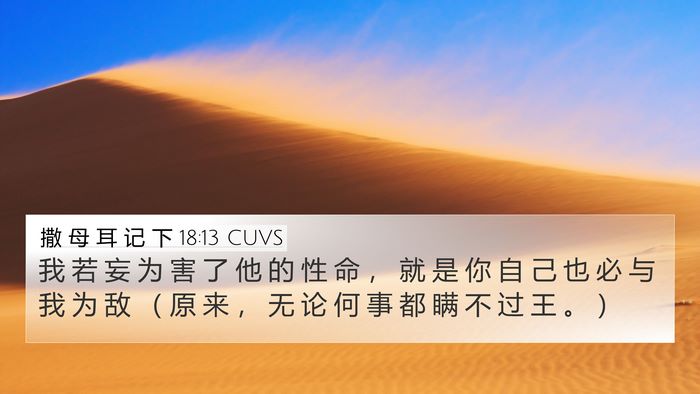 撒 母 耳 记 下 18:13 CUVS 4K Wallpaper - 我 若 妄 为 害 了 他 的 性 命 ， 就 - 4K Wallpaper Bible Verse