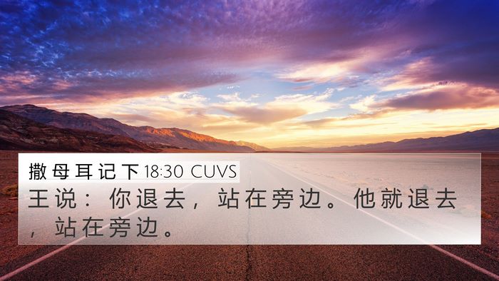 撒 母 耳 记 下 18:30 CUVS 4K Wallpaper - 王 说 ： 你 退 去 ， 站 在 旁 边 。 - 4K Wallpaper Bible Verse