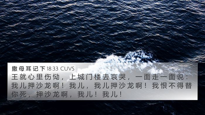 撒 母 耳 记 下 18:33 CUVS Bible Verse Image