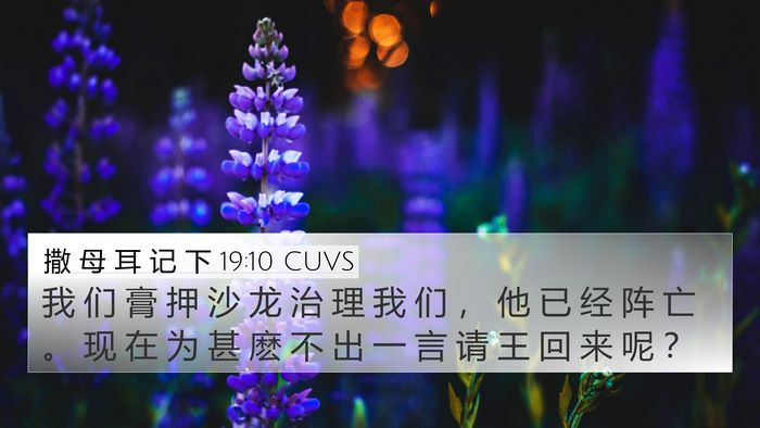 撒 母 耳 记 下 19:10 CUVS Bible Verse Image
