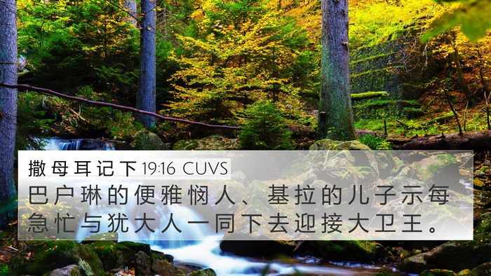 撒 母 耳 记 下 19:16 CUVS Bible Verse Image