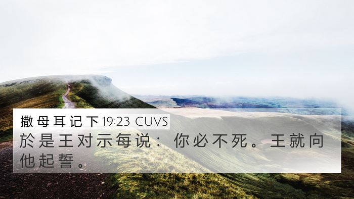 撒 母 耳 记 下 19:23 CUVS Bible Verse Image