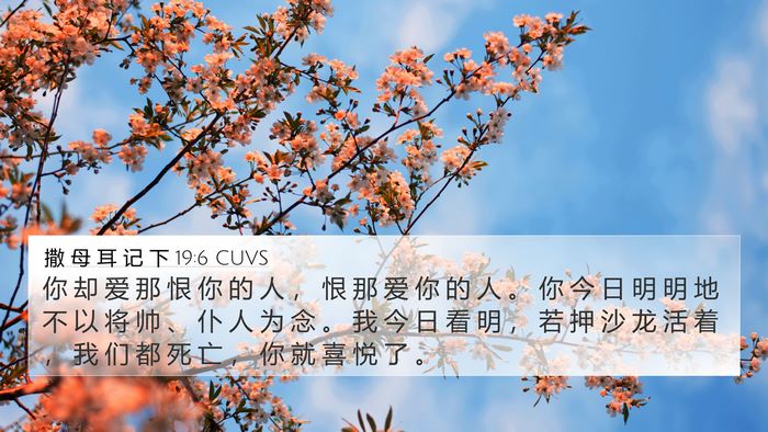 撒 母 耳 记 下 19:6 CUVS Bible Verse Image