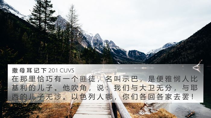 撒 母 耳 记 下 20:1 CUVS Bible Verse Image