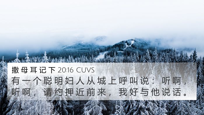 撒 母 耳 记 下 20:16 CUVS Bible Verse Image