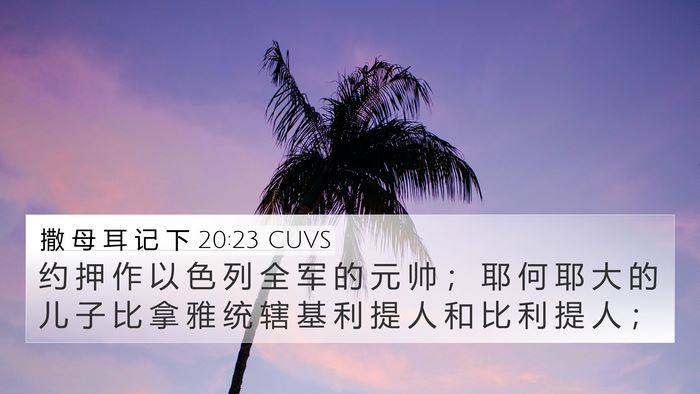 撒 母 耳 记 下 20:23 CUVS Bible Verse Image