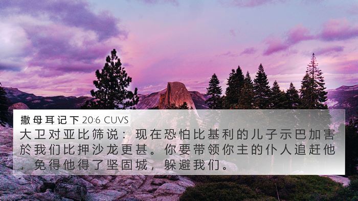 撒 母 耳 记 下 20:6 CUVS Bible Verse Image