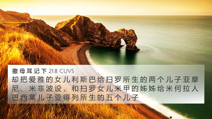 撒 母 耳 记 下 21:8 CUVS Bible Verse Image