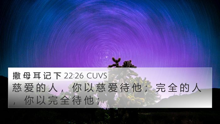 撒 母 耳 记 下 22:26 CUVS Bible Verse Image