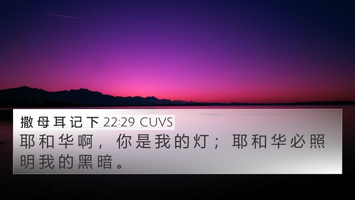 撒 母 耳 记 下 22:29 CUVS Bible Verse Image