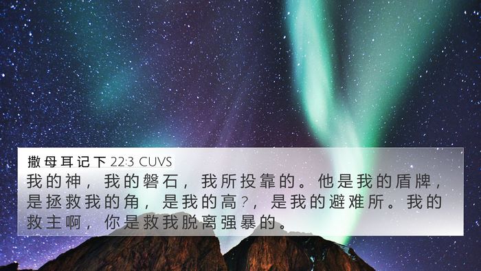 撒 母 耳 记 下 22:3 CUVS Bible Verse Image