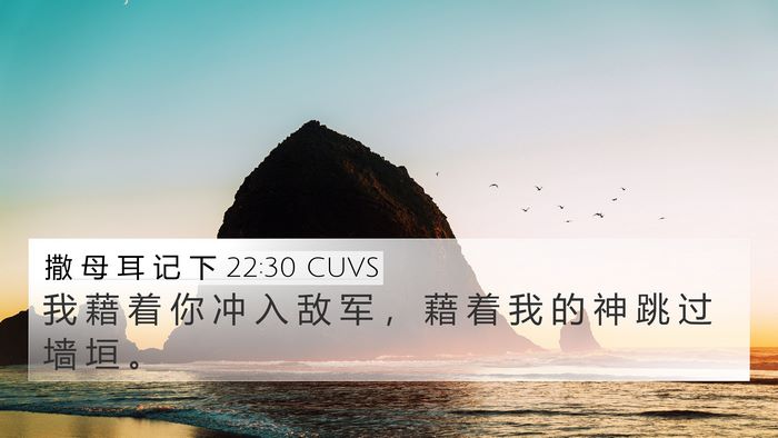 撒 母 耳 记 下 22:30 CUVS Bible Verse Image