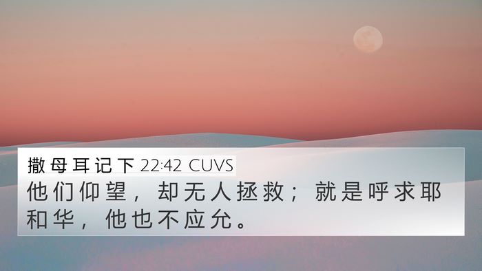 撒 母 耳 记 下 22:42 CUVS 4K Wallpaper - 他 们 仰 望 ， 却 无 人 拯 救 ； 就 - 4K Wallpaper Bible Verse