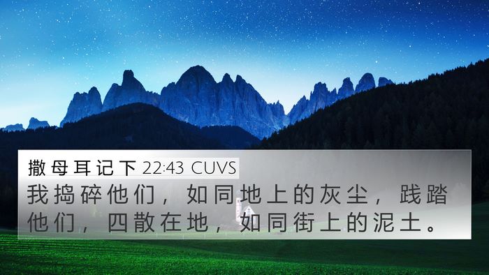 撒 母 耳 记 下 22:43 CUVS Bible Verse Image