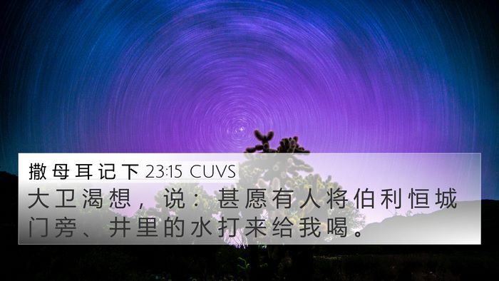 撒 母 耳 记 下 23:15 CUVS Bible Verse Image