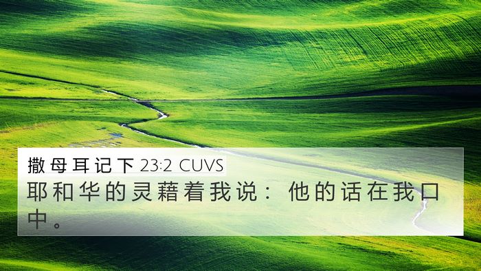 撒 母 耳 记 下 23:2 CUVS Bible Verse Image