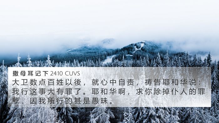 撒 母 耳 记 下 24:10 CUVS Bible Verse Image
