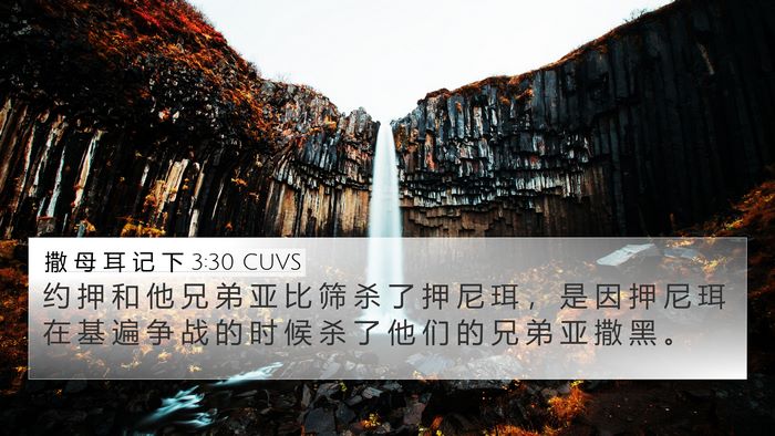 撒 母 耳 记 下 3:30 CUVS Bible Verse Image