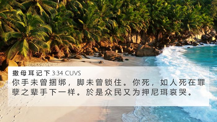撒 母 耳 记 下 3:34 CUVS Bible Verse Image
