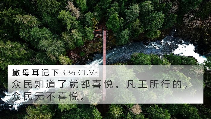 撒 母 耳 记 下 3:36 CUVS Bible Verse Image