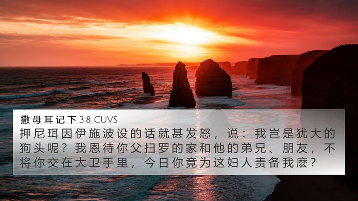 撒 母 耳 记 下 3:8 CUVS 4K Wallpaper - 押 尼 珥 因 伊 施 波 设 的 话 就 甚 - 4K Wallpaper Bible Verse