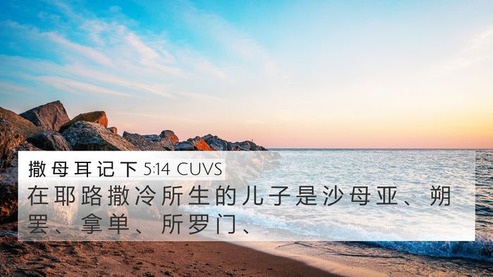 撒 母 耳 记 下 5:14 CUVS Bible Verse Image