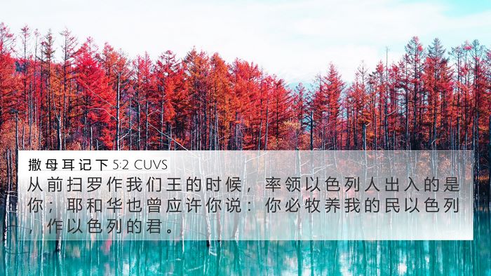 撒 母 耳 记 下 5:2 CUVS Bible Verse Image