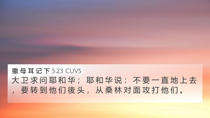 撒 母 耳 记 下 5:23 CUVS Bible Verse Image