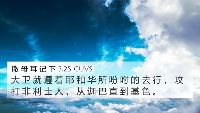 撒 母 耳 记 下 5:25 CUVS Bible Verse Image