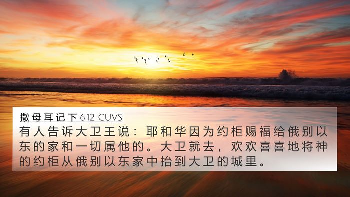 撒 母 耳 记 下 6:12 CUVS Bible Verse Image