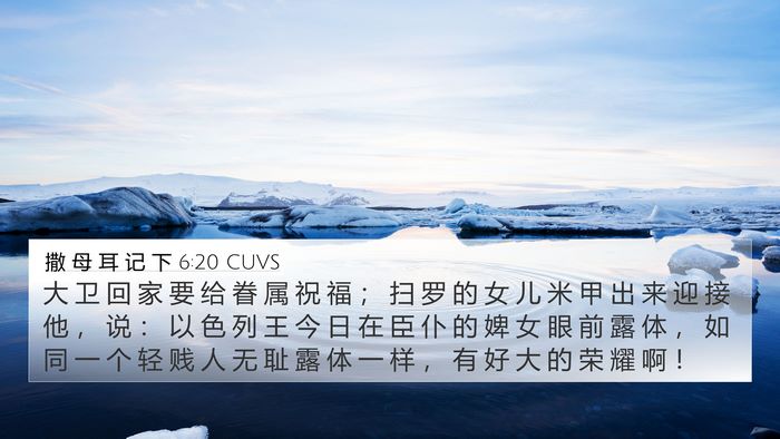 撒 母 耳 记 下 6:20 CUVS Bible Verse Image