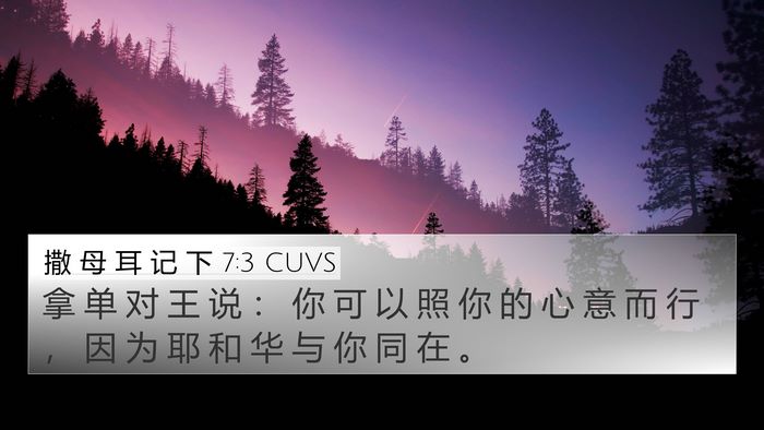 撒 母 耳 记 下 7:3 CUVS 4K Wallpaper - 拿 单 对 王 说 ： 你 可 以 照 你 的 - 4K Wallpaper Bible Verse