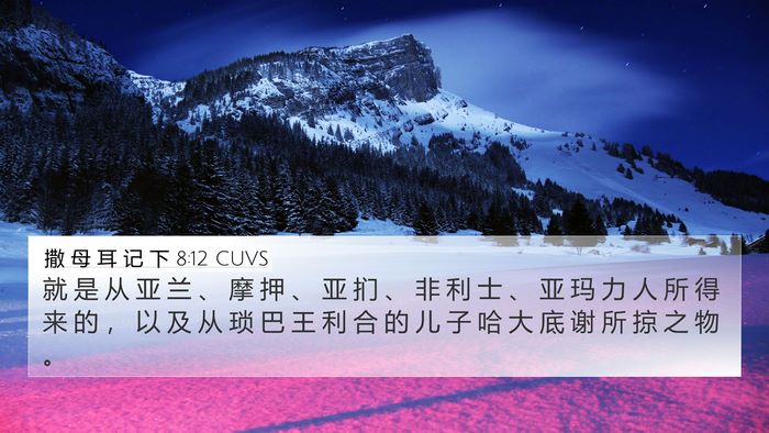 撒 母 耳 记 下 8:12 CUVS Bible Verse Image