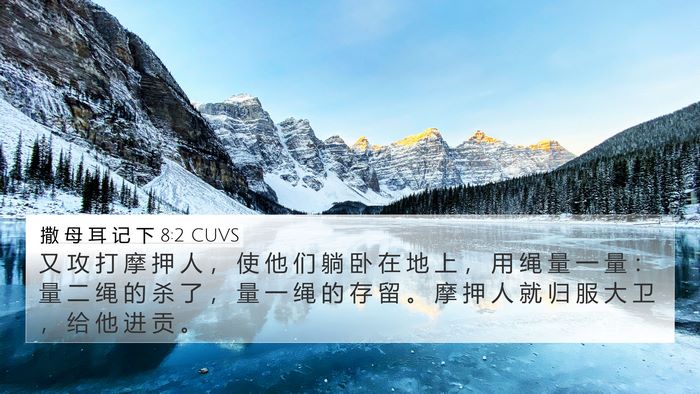 撒 母 耳 记 下 8:2 CUVS Bible Verse Image