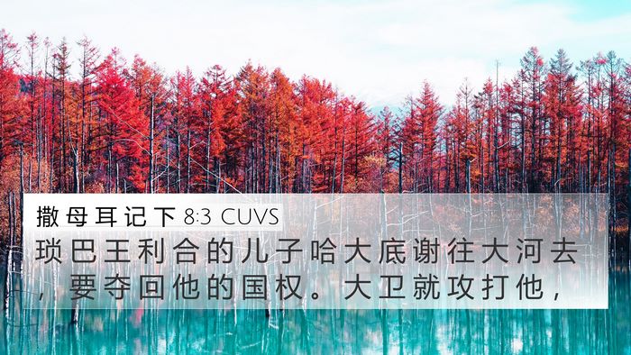 撒 母 耳 记 下 8:3 CUVS Bible Verse Image