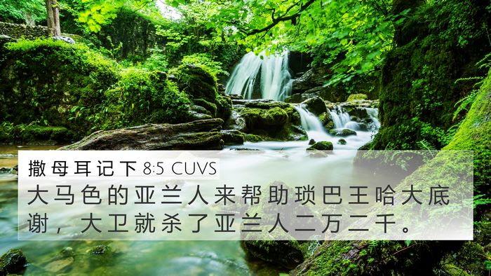 撒 母 耳 记 下 8:5 CUVS 4K Wallpaper - 大 马 色 的 亚 兰 人 来 帮 助 琐 巴 - 4K Wallpaper Bible Verse