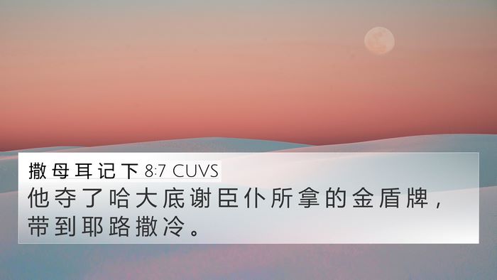 撒 母 耳 记 下 8:7 CUVS 4K Wallpaper - 他 夺 了 哈 大 底 谢 臣 仆 所 拿 的 - 4K Wallpaper Bible Verse