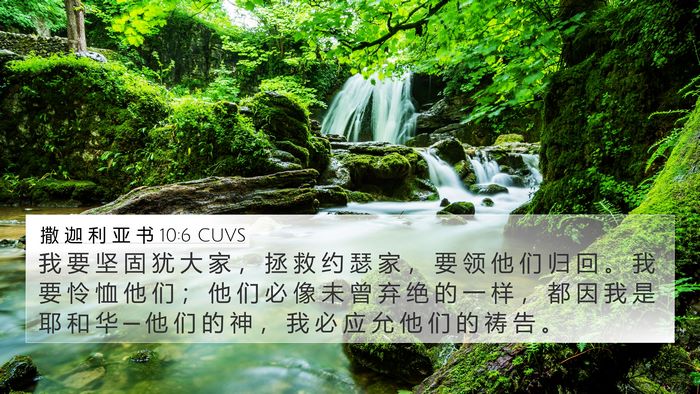 撒 迦 利 亚 书 10:6 CUVS Bible Verse Image